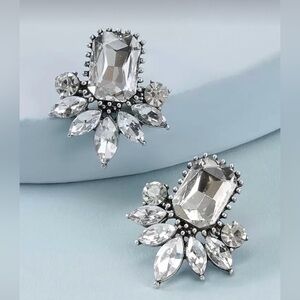 Elegant Silver Crystal Earrings